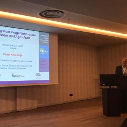 Key Note Speech Prof. Knorringa PRIMA Workshop in Athens