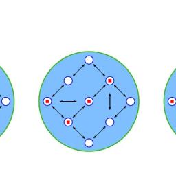 Norm life cycle